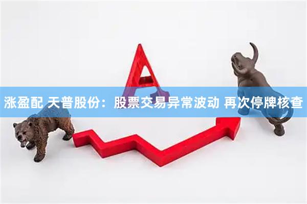 涨盈配 天普股份：股票交易异常波动 再次停牌核查